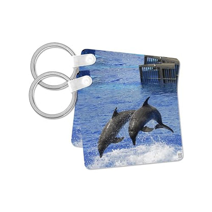 3dRose, Two dolphins finishing a dive together at Oceanographic Aquarium in Valencia, Spain, Key Chain