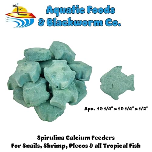 Spirulina Enriched Calcium Feeders for Shrimp, Snails, Crabs, Crayfish, Pleco, Catfish, All Tropical Fish…50 Count Bag