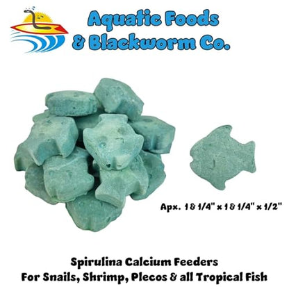 Spirulina Enriched Calcium Feeders for Shrimp, Snails, Crabs, Crayfish, Pleco, Catfish, All Tropical Fish…50 Count Bag