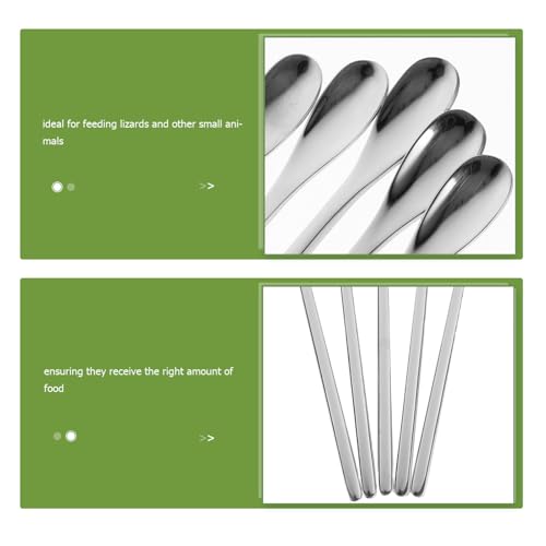 Toyvian 5pcs Durable Pet Food Scoops Ergonomic Reptile Feeding Utensils for Lizards and Small Animals Lightweight and Portable for Home and Aquarium Use