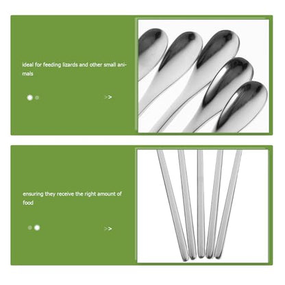 Toyvian 5pcs Durable Pet Food Scoops Ergonomic Reptile Feeding Utensils for Lizards and Small Animals Lightweight and Portable for Home and Aquarium Use