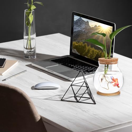 Toddmomy Desktop Hydroponic Glass Fish Bowl Mat Small Betta Tank for Aquatic Plants Terrarium for Home Office Lid