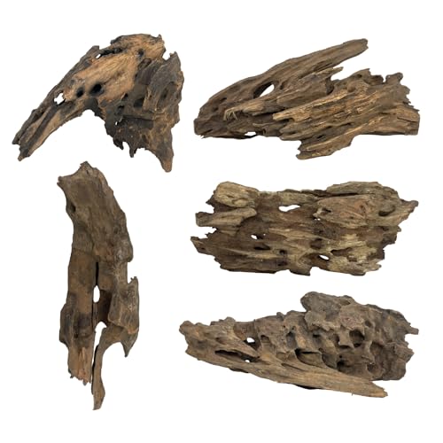5 Pcs Natural Honeycomb Wood 6-8", Porous Aquarium Driftwood | Cholla Wood Shrimp Shelter Breeding Cave, Shrimp Dragon Wood for Fish Tank, Aquascaping, Reptile, Terrarium Decor - color: Shrimp Wood 6-8in(5PCS)
