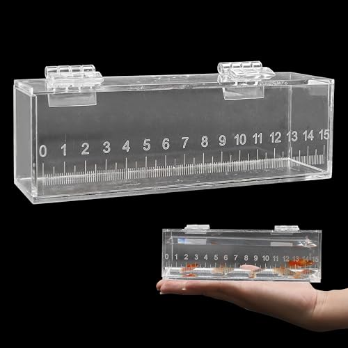 Fish Viewing Box Container with Lid and Scale, Acrylic Portable Fishing Mini Aquarium, Small Fish Breeder Hatching Boxes, Safe Tank Case for Breeding Egg Photo Isolation Outdoor Indoor