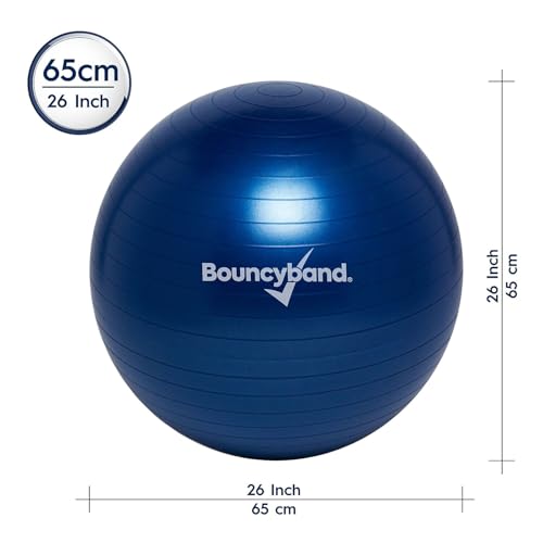 Bouncyband Balance Ball – Create Flexible Seating to Improve Focus at School, Office, or Home with This No-Roll Weighted Ball - color: Dark Blue, size: Large (Pack of 1)