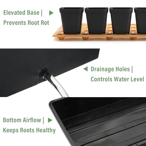 5 Pack Nursery Pots Trays with Removable Mesh Drainage Mat, Plastic Seed Starter Trays (17"x12"x3.5") with Drainage Hole, Propagation Kit for Seedlings, Microgreens, Plant Germination (Black) - size: 17" L x 12" W x 3.5" H