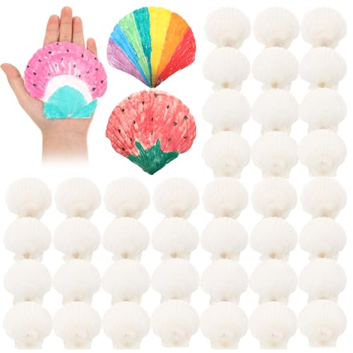 50 Pcs Sea Shell for Crafting Natural Large Scallop White Oyster Shells Bulk for Decorating DIY Home Decor Beach Wedding Ocean Themed Party(3.5''-3.9'') - size: 3.5''-3.9''
