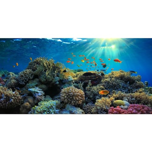 Colorful Coral Reef Backdrop 15x8ft Photography Background Magic Undersea World Kids Birthday Party Marine Theme Banner Baby Shower Aquarium Decor Tropical Fish Kids Adults Photo Props - size: 15x8ft