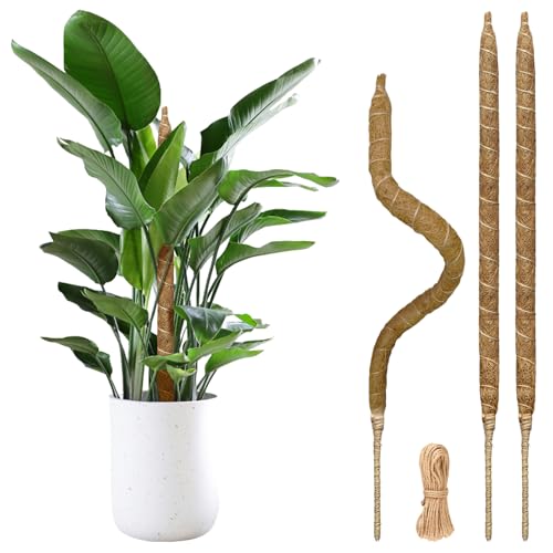 3 Pack Moss Pole Monstera Plant Support, 28 Inch Bendable Moss Poles for Climbing Plants with 20 FT Jute Ropes, Coco Coir Moss Pole Kit Support for Indoor Potted Plants, Pothos, Philodendron