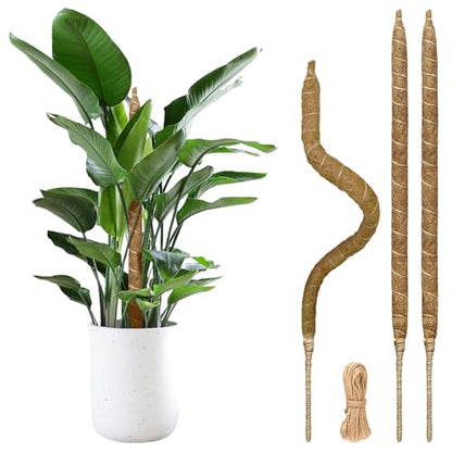 3 Pack Moss Pole Monstera Plant Support, 28 Inch Bendable Moss Poles for Climbing Plants with 20 FT Jute Ropes, Coco Coir Moss Pole Kit Support for Indoor Potted Plants, Pothos, Philodendron