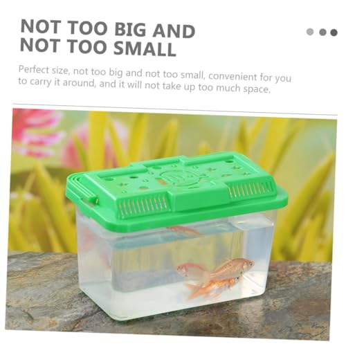 Abaodam Turtle Habitat and Fish Breeding Tank, Sturdy Pp Plastic Transport Box 15x9x11cm, Portable Aquarium for Small Reptiles and Goldfish Housing