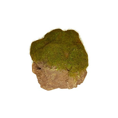 Floating Artificial Decorative Rock with Moss Effect Aquarium Decor Fish Tank Ornament 3 Inch Diameter, Perfect Floating Hide, Reptile & Amphibian Terrarium Accessory