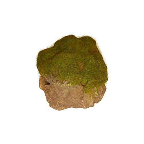 Floating Artificial Decorative Rock with Moss Effect Aquarium Decor Fish Tank Ornament 3 Inch Diameter, Perfect Floating Hide, Reptile & Amphibian Terrarium Accessory