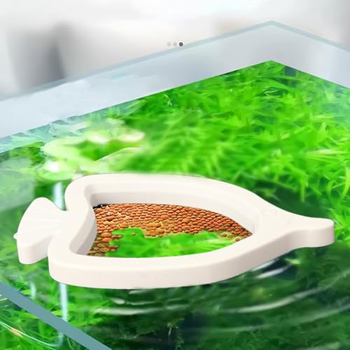 Feeding Ring for Fish Tank | Floating Suction Cup Small Food Feeder,Fish Betta Feeding Ring | for Saltwater Freshwater Tanks Habitats