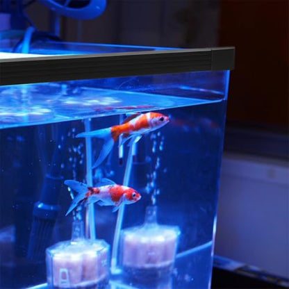 Toddmomy Fish Tank Edge Protector Strip Safety Guard Aquarium Edge Sealing Easy to Install Corner Guards