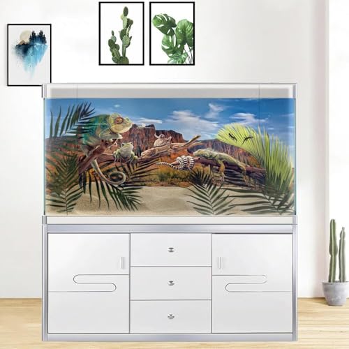 36X24IN Desert Rock High Mountain Cactus Oasis Reptile Habitat Background, Natural Blue Sky Sun Desert Themed Terrarium Background, Aquarium Background with 10 EVA Double-Sided Tape ﻿ - size: 36X24in/90X60cm
