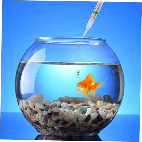 GARVALON 1set Hydrometer for Testing Accurate Aquarium Gauge with Measuring Cylinder for Aquaculture and Fish Tanks Sea Water Density Measurement Tool
