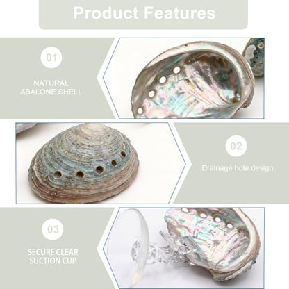 3 Pcs Betta Hammock, Rainbow Iridescent Floating Fish Cave, 3D Printed PLA Aquarium Resting Spot with Feeder Ring, Betta Hideout Shrimp Cave for Nano Tank