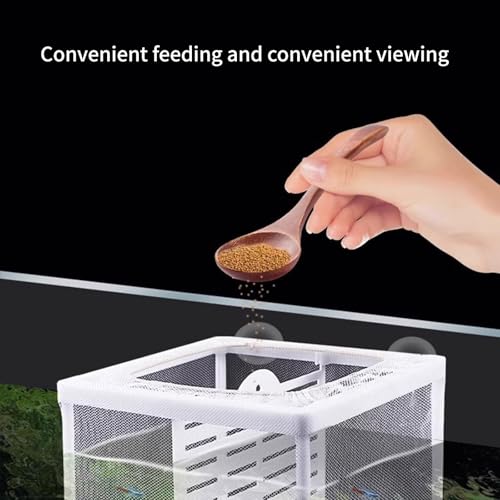 2PCS Protective Aquariums Breeding Cage Netting Nursery Tanks with Suction Cup for Fry Rearing and Secure Observation Spawning Box for Aquariums Fish - color: small