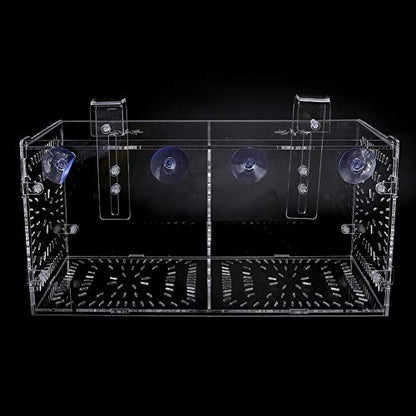 Acrylic Fish Breeding Box 20x20x20cm Mesh Rearing Trap for Baby Shrimp Clownfish Guppy, Isolation Board Prevents Adult Attack, Adjustable Suction Cup Fixation for Aquarium Hatchery - size: 30CM*15CM*15CM
