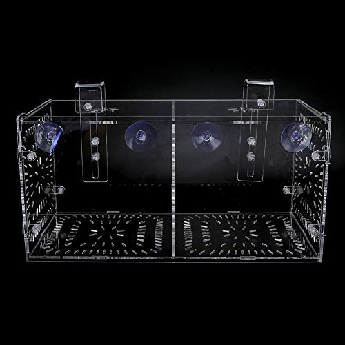 Acrylic Fish Breeding Box 20x20x20cm Mesh Rearing Trap for Baby Shrimp Clownfish Guppy, Isolation Board Prevents Adult Attack, Adjustable Suction Cup Fixation for Aquarium Hatchery - size: 30CM*15CM*15CM