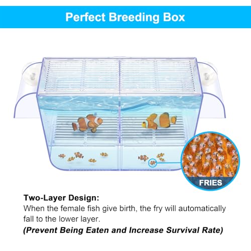 Fish Breeding Box Aquarium Holding Tank Transparent Fish Isolation Box Acclimation Hatchery Incubator Breeder for Betta Shrimp Clownfish Guppy(Size L)