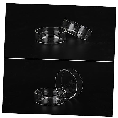 SUPVOX 3pcs Round Crystal Shrimp Feeding Bowl Delicate Glass Dish for Shrimp Tanks Multi-Purpose Feeder for Fish and Reptiles Decorative Pet Food Bowl - size: Size 1