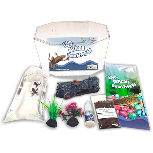 African Dwarf Frog Starter Kit- Includes Certificate for 2 Live Frogs -Small Aquarium, Food, Instructions