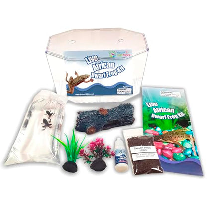 African Dwarf Frog Starter Kit- Includes Certificate for 2 Live Frogs -Small Aquarium, Food, Instructions