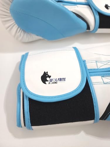 Hajime No Ippo Anime Hook & Loop Gloves Fighting Spirit First Step