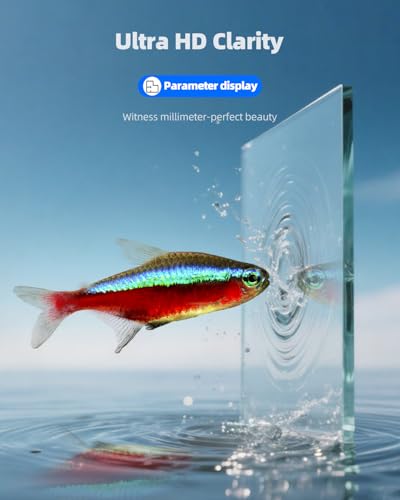 5 Gallon Clear Glass Fish Tank, Easy to Maintain Small Aquariumfor Betta, Goldfish, Snail,Shrimp and Aquatic Planting - color: Black, size: 5 Gallon