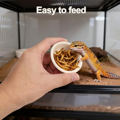 100 Pcs Large Gecko Food Cups - 1oz Disposable Biodegradable Plant Fiber Feeding Bowls, Terrarium Accessories for Crested Gecko, Lizards & Reptile Pets