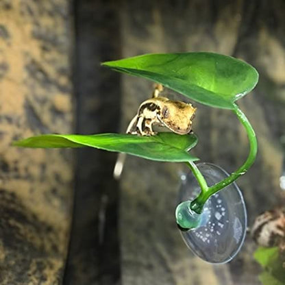 DODO Aqua Betta Fish Leaf Soft Bed Simulating The Natural Habitat for Betta Spawning Grounds Breeding Resting Bed Plastic Suction Cup (1pcs)