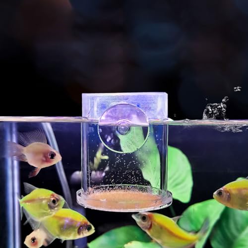 Acrylic Feeding Jar Fish Feeder Brine Shrimp Eggs Red Worms Food for Fish Feeding Bowl with Suction-Cup - size: Medium