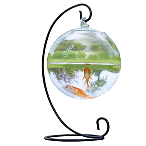 Desk Hanging Clear Glass Fish Bowl Round Space-Saving Hanging Vase for Small Freshwater Fish and Water Plant Display, Wall-Mounted Aquarium Decor - color: black
