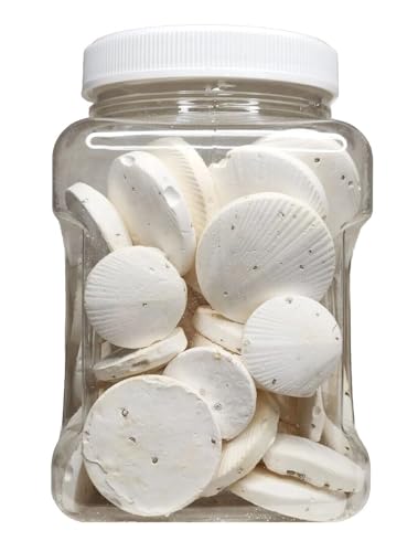 Calcium Enriched Sinking Food Disks for Shrimp, Snails, Crabs, Crayfish, Hermit Crabs, Plecos, Catfish, Bottom Fish, All Tropical Fish. 25 Small & 25 Medium Discs Jar
