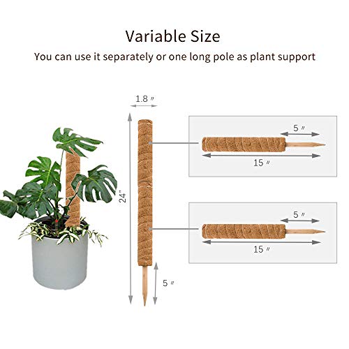 30 Inch Moss Pole for Climbing Plants - 2 Pack 15 Inch Coir Totem Pole Plant Support with 65 Feet Garden Twist Tie for Monstera and Potted Plants to Grow Upwards…