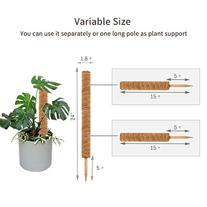 30 Inch Moss Pole for Climbing Plants - 2 Pack 15 Inch Coir Totem Pole Plant Support with 65 Feet Garden Twist Tie for Monstera and Potted Plants to Grow Upwards…
