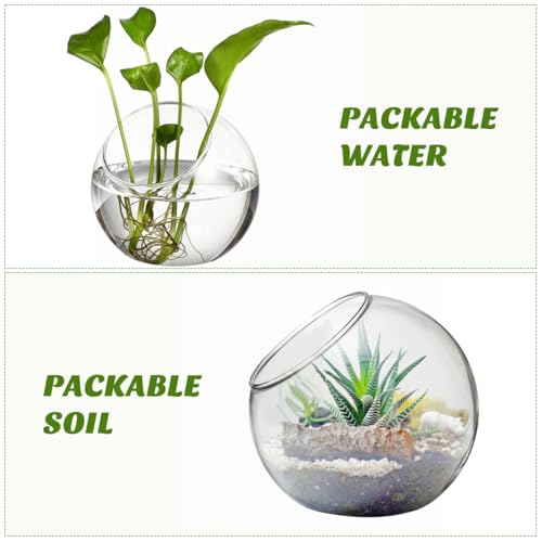 ibasenice 3Pcs Glass Terrarium Bowls Air Plant Holders Hydroponic Planters Small Round Vases for Home Office Desktop Display