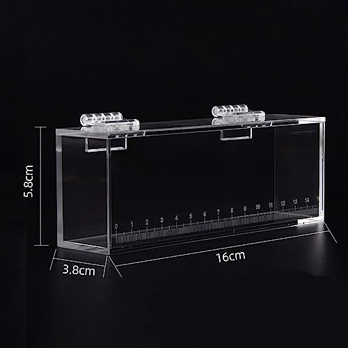 Acrylic for Fishing Photo Tank, L