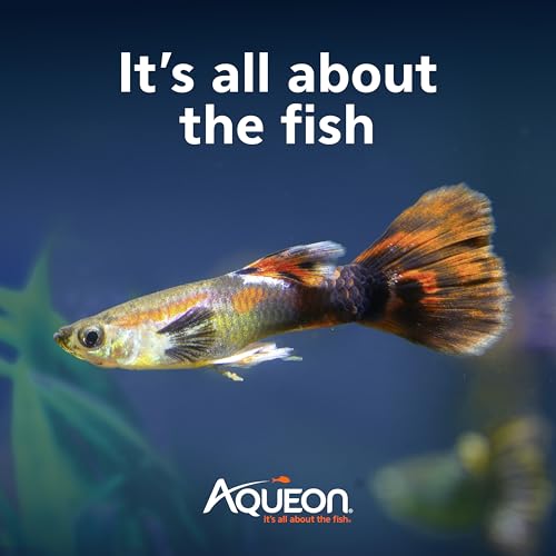 Aqueon QuietFlow Internal Filter with SmartClean Technology, Small - size: Small Filter, style: Small Filter