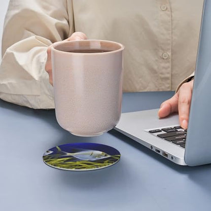 Cup Coaster Set for Home Decor Tabletop Protection Cup Mat PadRound Coasters for Drinks Set of 6 PU Leather Aquarium AngelfishCoasters with Holder 4" Drink Coasters for Coffee Table