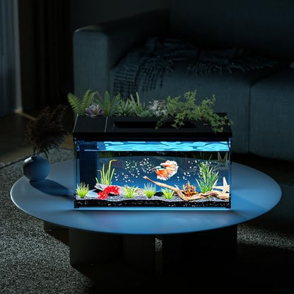 3.7 Gallon Betta Fish Tank self Cleaning,Smart Aquarium Aquarium kit with Filter Light Water Pump (Black)