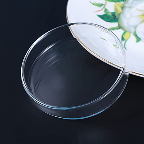 BESPORTBLE 1pc Transparent Glass Shrimp Feeding Bowl Glass Round Dish for Fish and Reptiles Design Aquarium Ornamental Supply