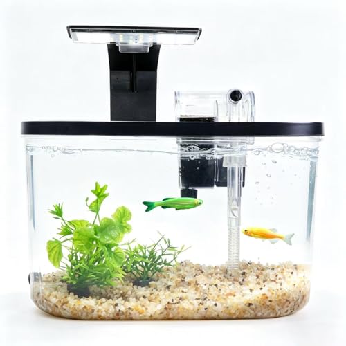 1.7 Gallon Aquarium Starter Kit with LED Light & Quiet Filter, Complete Small Fish Tank for Betta, Mini Desktop Acrylic Tank, Ideal for Shrimp Guppy Jellyfish Goldfish, Office, Home, or Gift