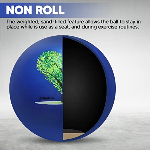 bintiva Exercise Ball - color: Stabilizing Sand - Blue, size: M (58-65cm)