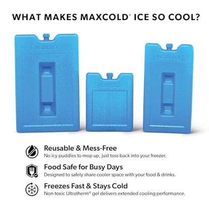 Igloo Maxcold Ice Block,2 Pieces, Ice Block - color: 2PK Large