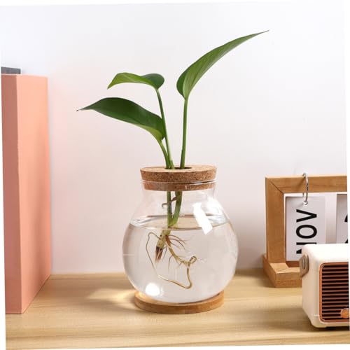 Hydroponic Glass Fish Bowl with Lid Small Desktop Aquarium 10x11cm Mini Glass Fish Tank with Mat for Office and Home Decor