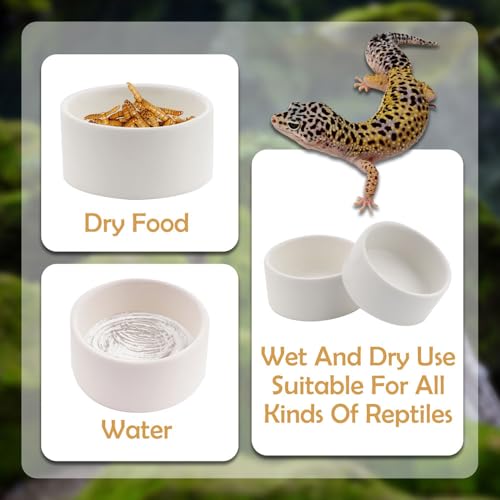 2 Pack Snake Small Water Bowl Reptile Food Dish Ceramic Feeder for Snake Lizard Gecko Frog Hermit Crab