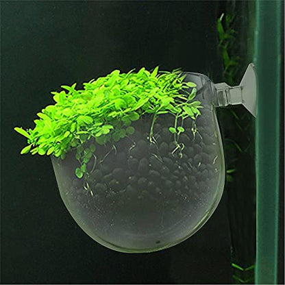 Uenhoy 5 Pcs Plastic Aquatic Plant Pots, Aquarium Plant Pots with Suction Cups, Acrylic Aquarium Planter, Red Shrimp Live Plant Fish Tank Holder - size: 5 Pcs